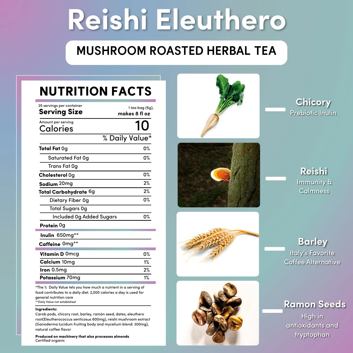 Reishi Eleuthero French Roast Mushroom Herbal Tea - Image 10