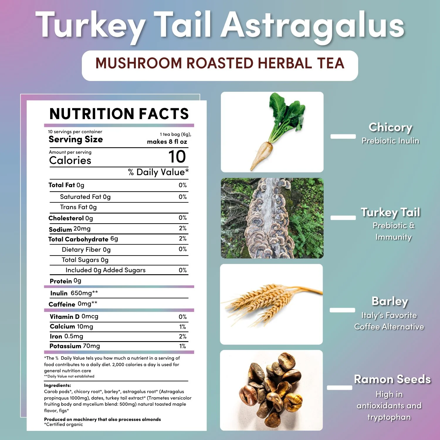 Turkey Tail Astragalus Toasted Maple Mushroom Herbal Tea - Image 7